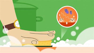 Cleaning and <mark class="highlighted">Sanitizing</mark>: Keeping Your Food and Environment Safe